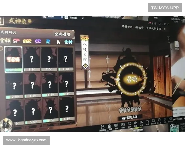 灵之彼岸：攻略秘闻录