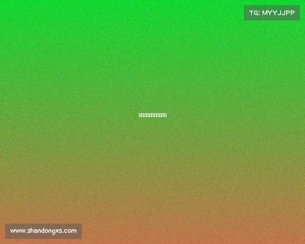 燃爆全场的极致视觉盛宴 燃爆全场的极致视觉盛宴